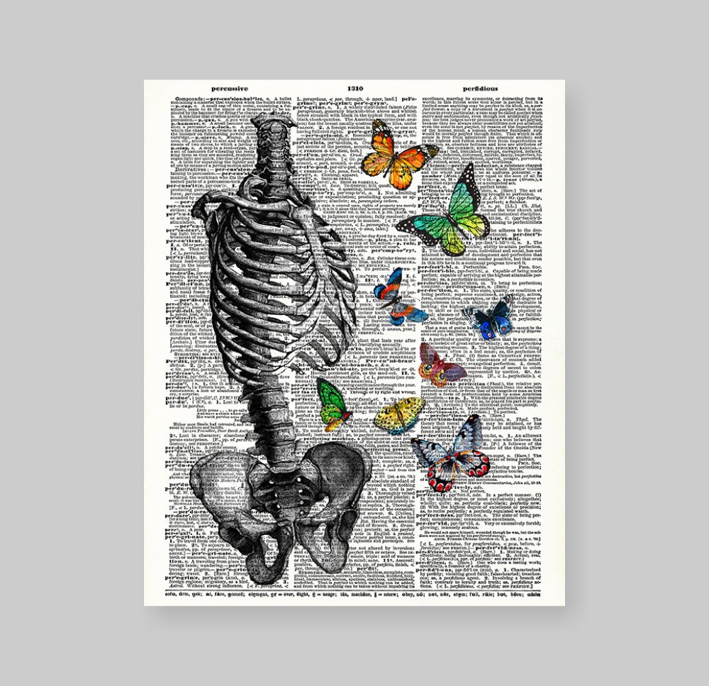 Amazon.co.jp: スージーArts 8 x 10 Unframed Human Skeleton